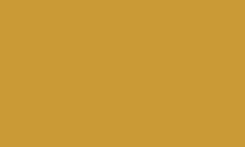 Dark Yellow 025