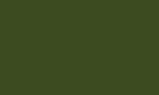 Camouflage Dark Green 019