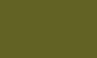 Camouflage Green 022