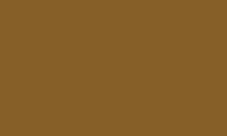 Camouflage Medium Brown 038