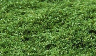 NATUREX mikro - Zelená dubová
